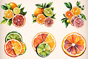 46 watercolor-citrus-fruit-clipart, an Illustration by GatewayDesign (Thumbnail 3 of 9)