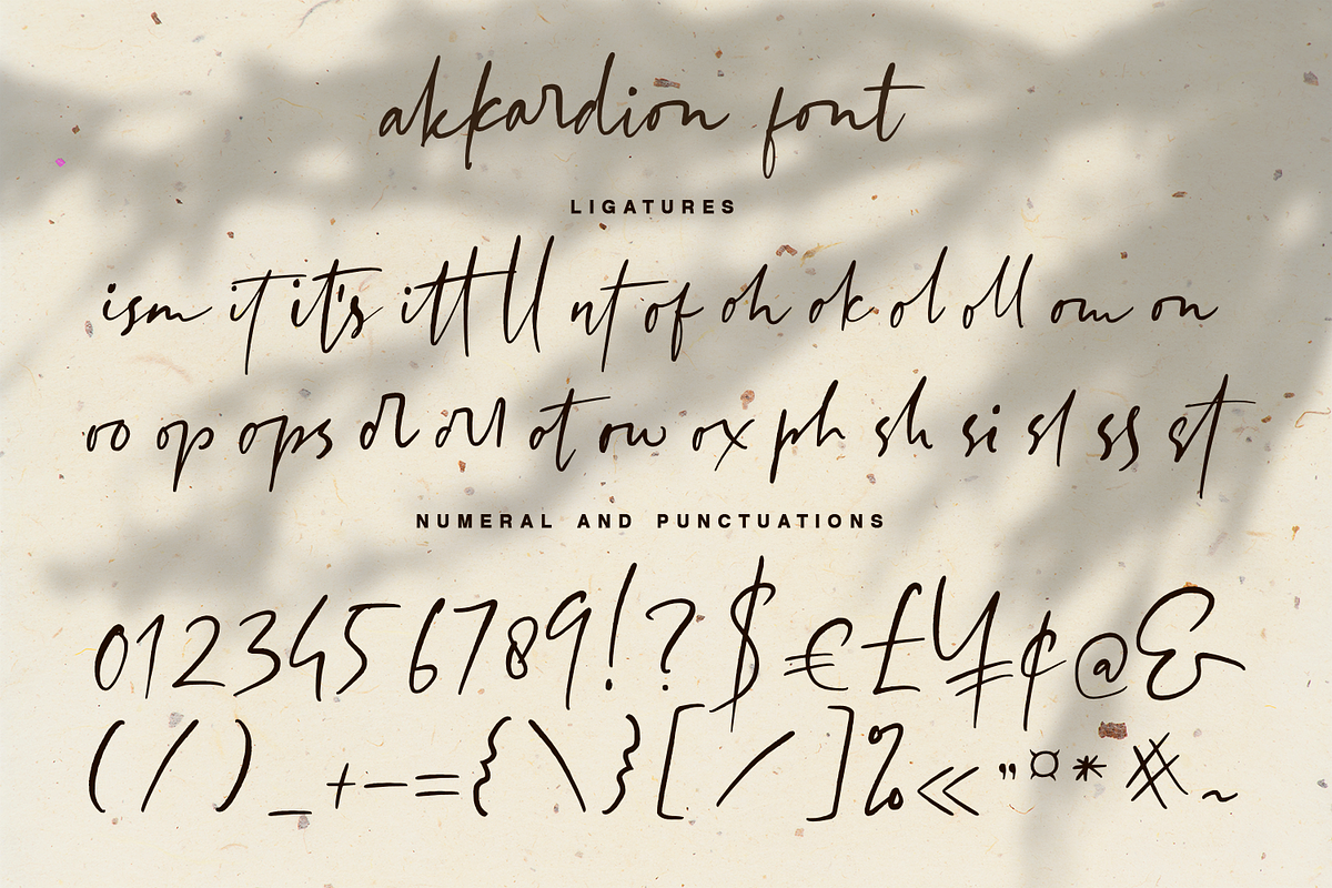 akkardion handwritten font, a Script Font by Quothron (Photo 10 of 10)