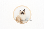 Cute Cat Portrait Round Clipart, an Animal Illustration by New-School-Wave (Thumbnail 4 of 5)