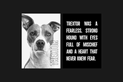 Headpen Cyrillic & Greek Typeface, a Sans Serif Font by alpercakici (Thumbnail 12 of 15)