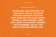 Wild Pines Park National Park Font, a Sans Serif Font by TYPEHEIST (Thumbnail 8 of 10)