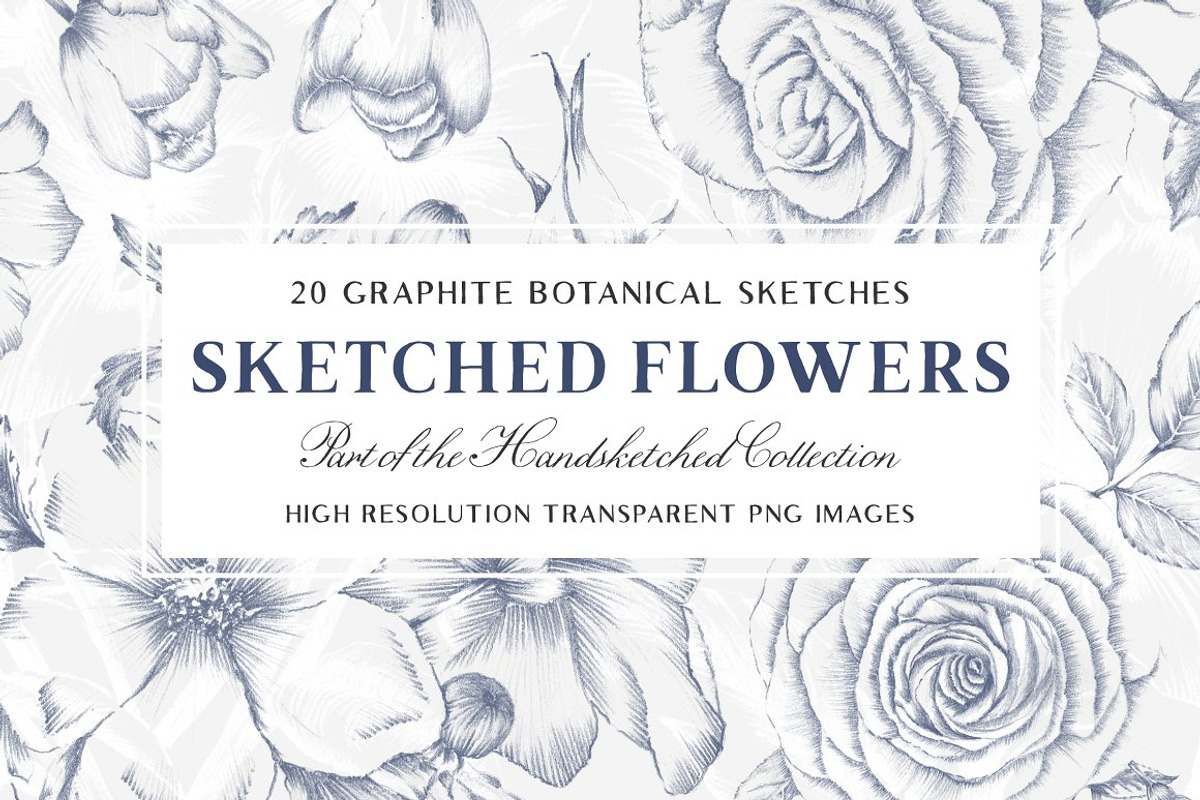 20 Floral Illustrations & More, a Decorative Illustration by AW Studios (Photo 1 of 6)