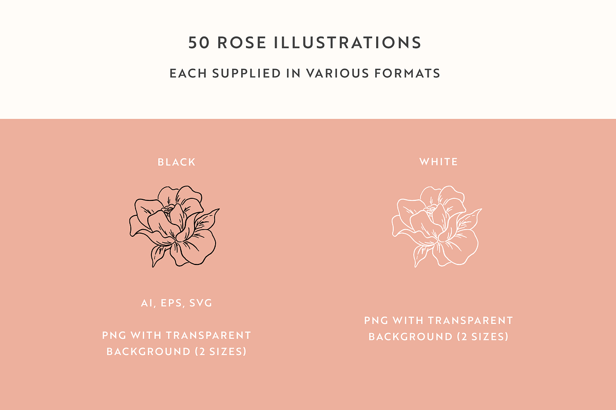 Rose Garden Vector Illustrations, an Illustration by Emma Webb Studio (Photo 5 of 8)