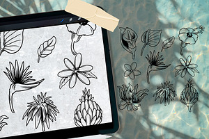 Tropical Brush Stamp