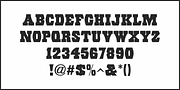 Eccentric Wood Type JNL, a Slab Serif Font by Jeff Levine Fonts (Thumbnail 3 of 5)