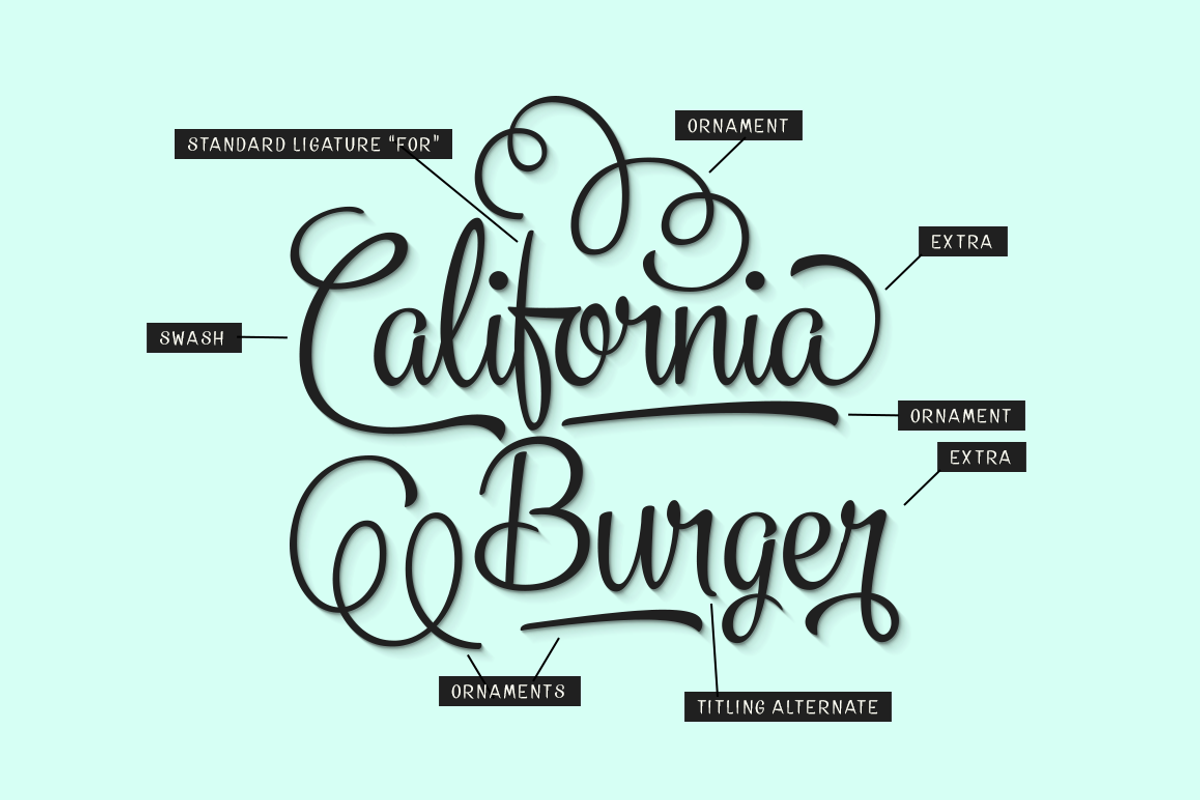 Vanilla Shot (40% off!), a Script Font by Fenotype (Photo 3 of 7)
