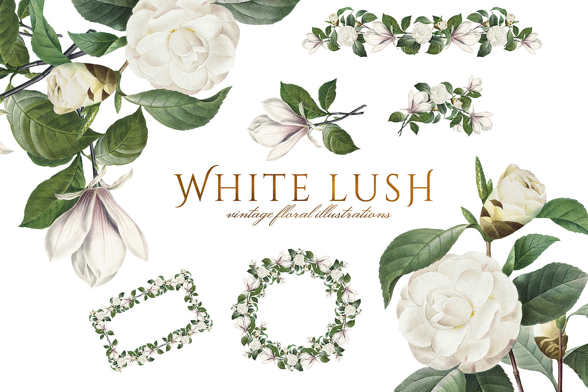 White Floral Clipart, Wreath, Frames, an Illustration by Secret Helper (Photo 1 of 9)