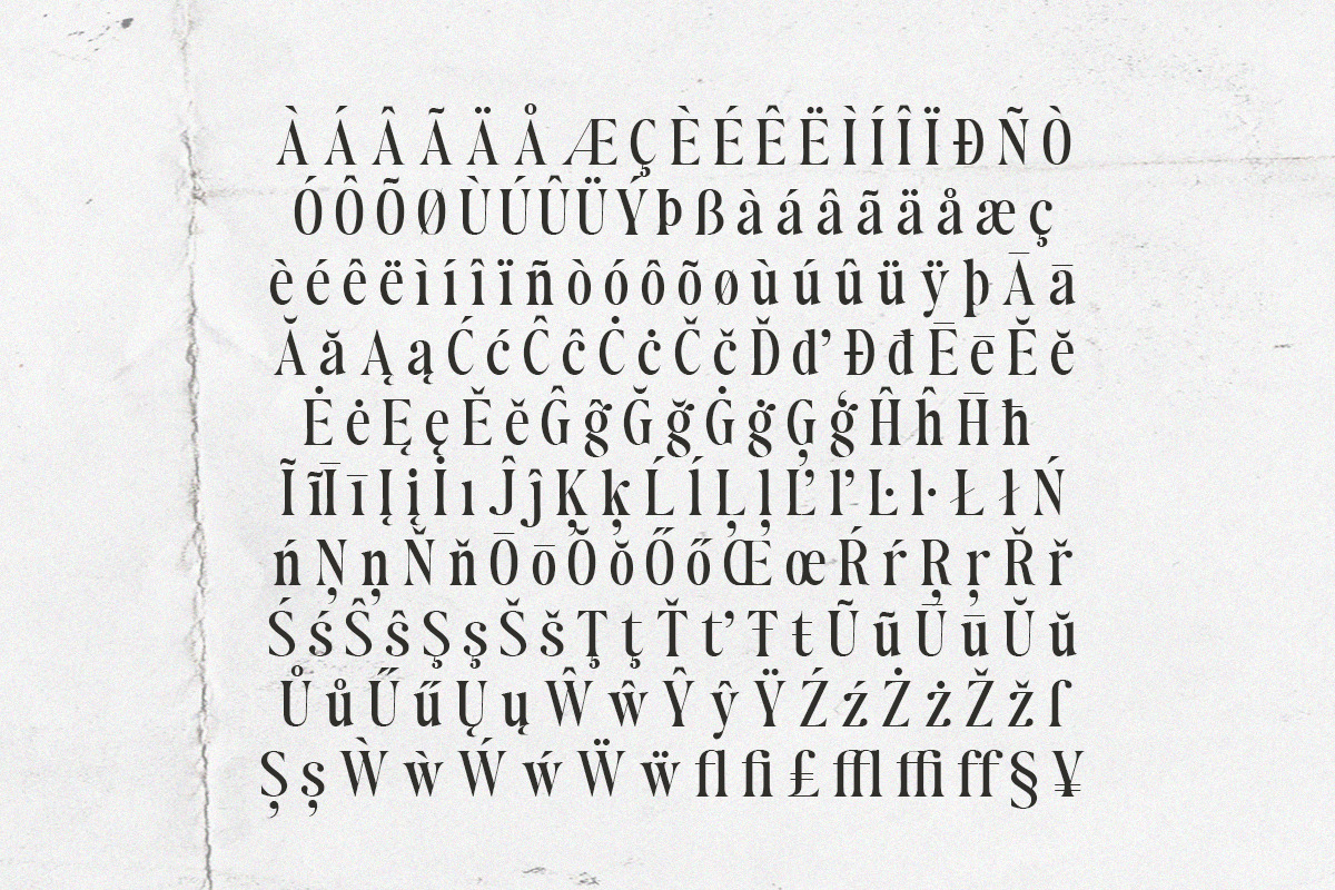 Author's Special Serif (04 fonts), a Serif Font by Positive TypeFoundry (Photo 11 of 14)