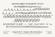 Midnight Cafe Society Elegant Serif, a Serif Font by AmorfaType (Thumbnail 8 of 8)