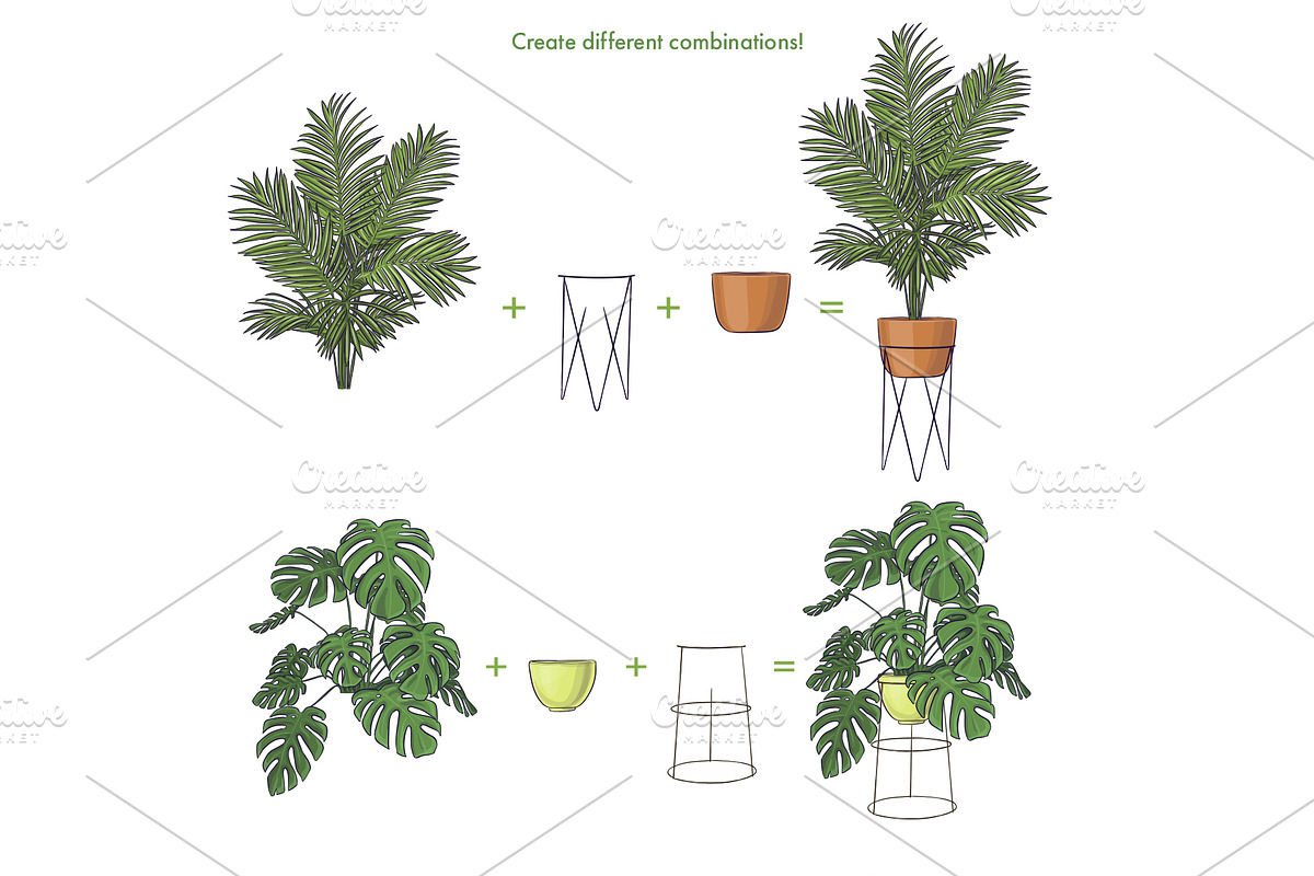 Indoor Plants VECTOR illustrations, a Seasonal Illustration by Natalka Dmitrova art (Photo 16 of 16)