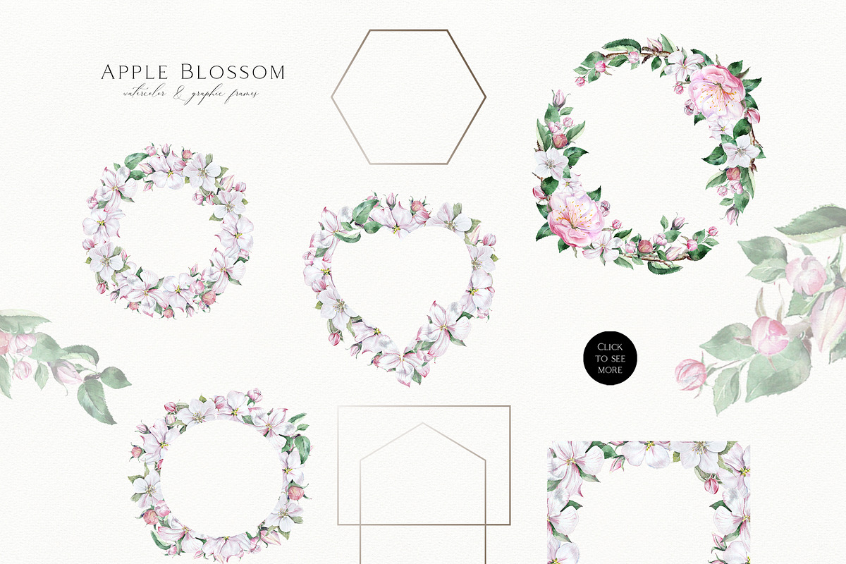 Apple Blossom, a Decorative Illustration by Olga Koelsch (Photo 4 of 9)