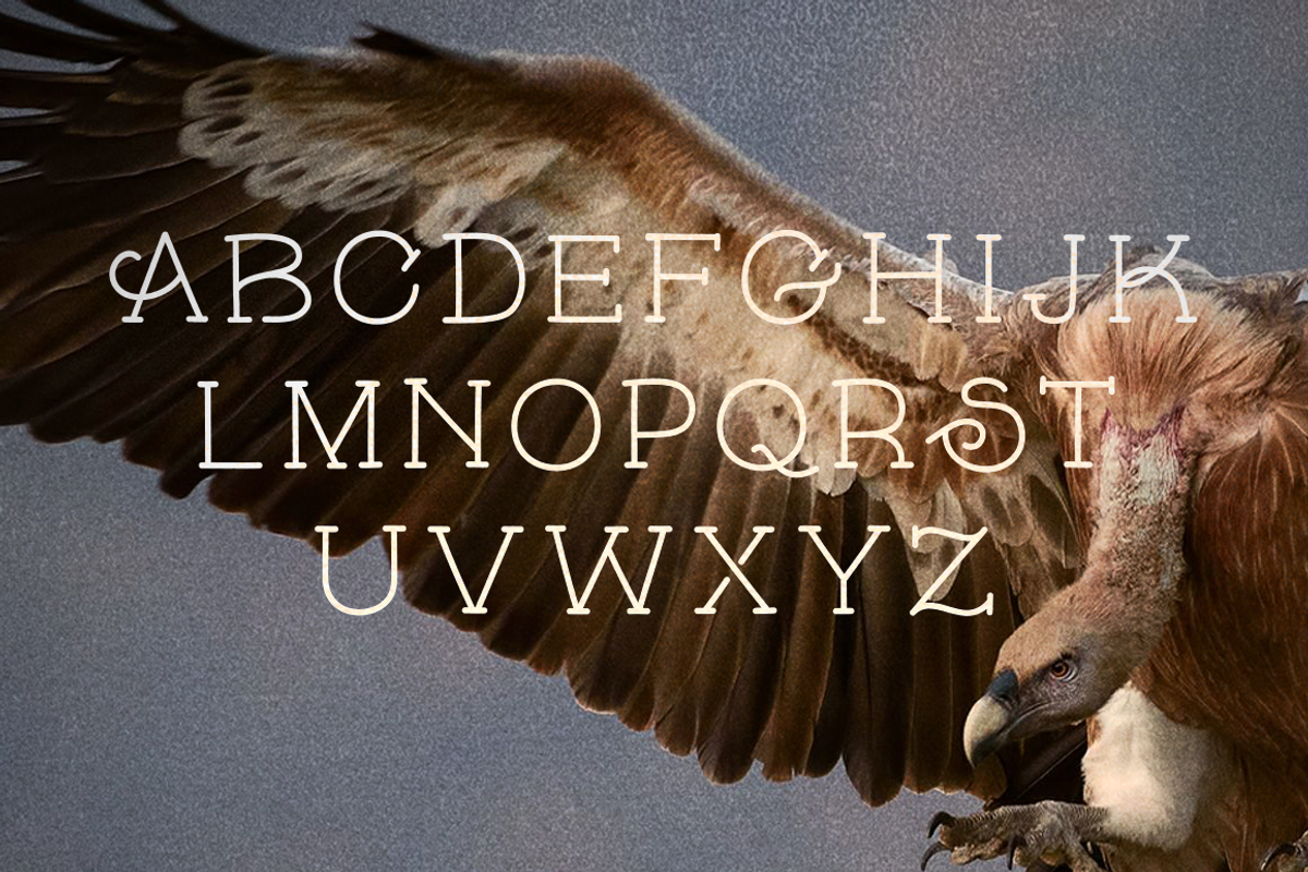 Skybird Font preview 6