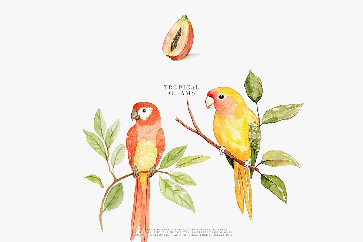 Watercolor tropical clipart set, a Decorative Illustration by Patishop Art (Photo 3 of 10)