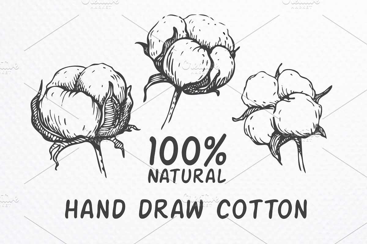 Hand drawn cotton set, a Graphic by Epine (Photo 1 of 3)