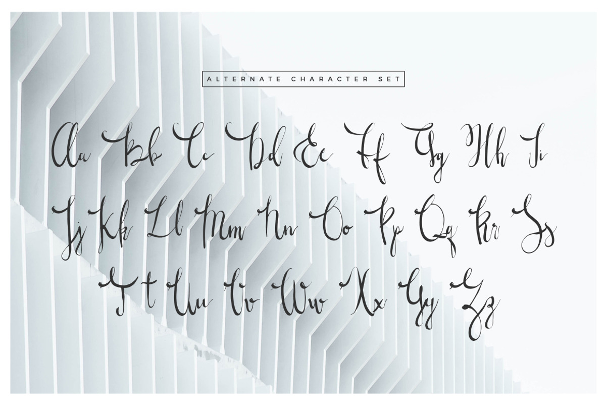 Wonderland Fonts Pack & Branding Kit, a Script Font by Graphicdome (Photo 80 of 118)