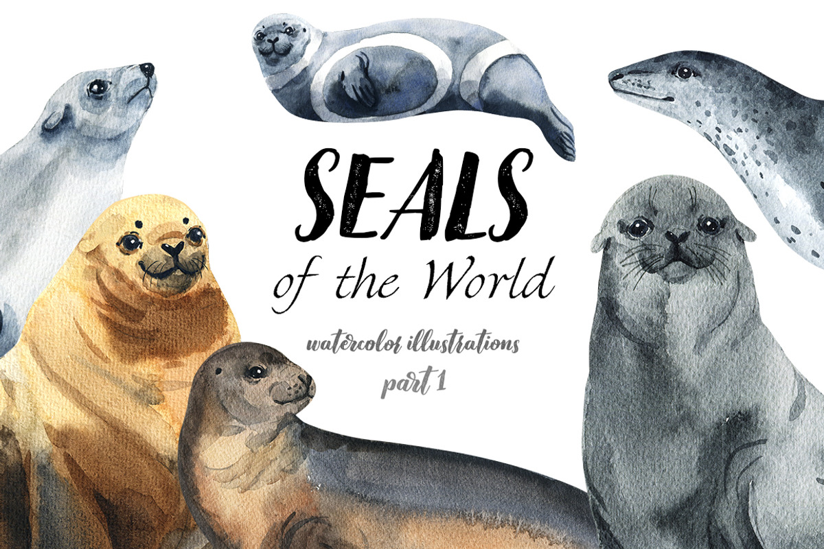 Seals - watercolor set, an Animal Illustration by KatBranchArt (Photo 1 of 6)