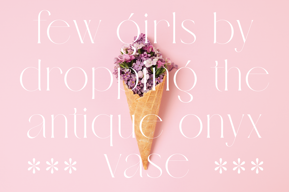 Veilan Serif Delicate font, a Serif Font by Andfonts (Photo 10 of 13)