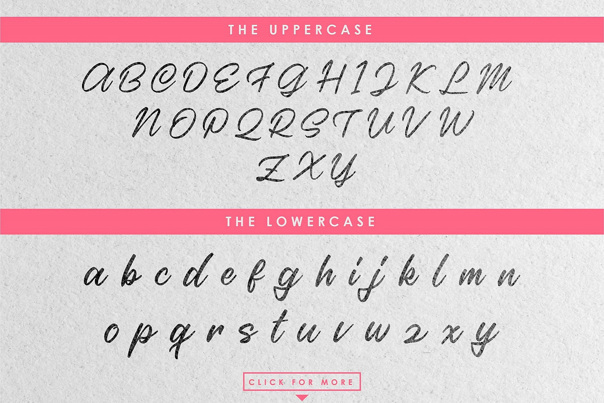 Casira Script preview 8