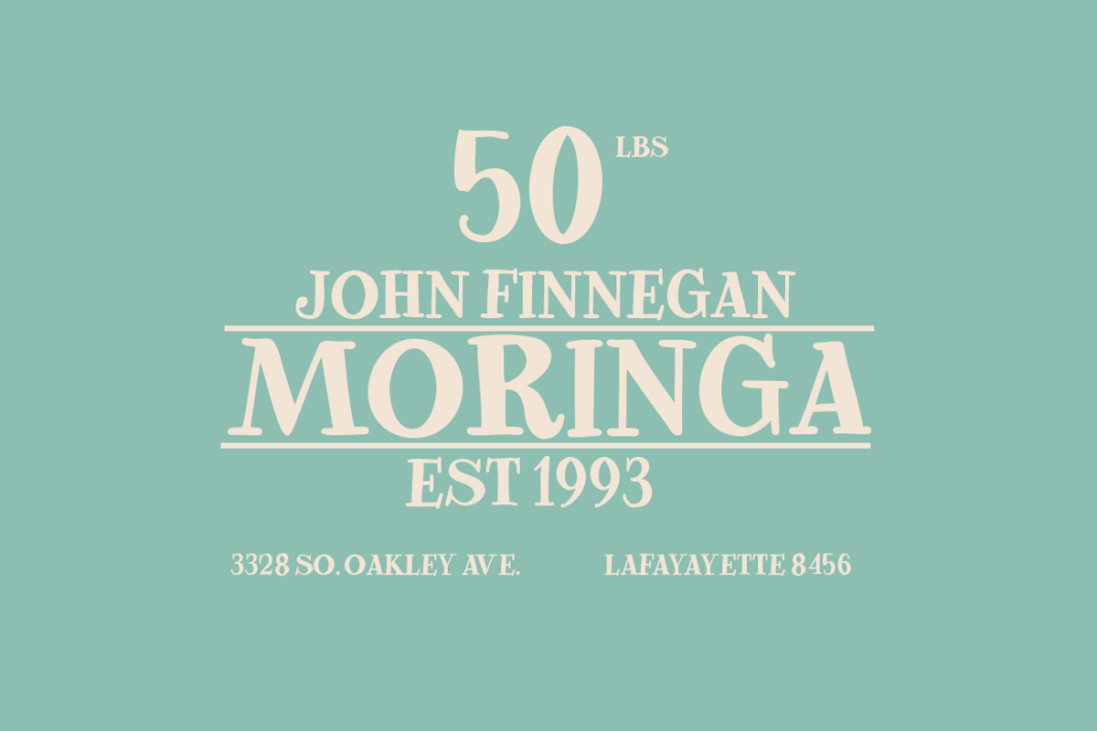 Freed Madison | A Quirky Serif Font, a Serif Font by Colllab Studio (Photo 3 of 12)