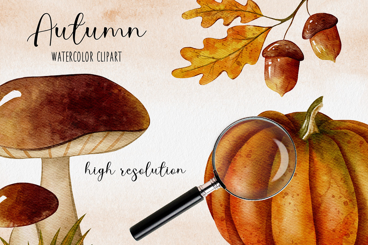 Autumn Watercolor Pumpkin Clipart, an Illustration by LuiDesignStudio (Photo 4 of 4)
