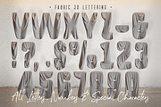 Foil & Fabric Lettering Duo, a Graphic by TVartworks (Thumbnail 5 of 13)