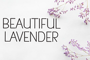 White Line, a Sans Serif Font by FreshTypeINK (Thumbnail 7 of 8)