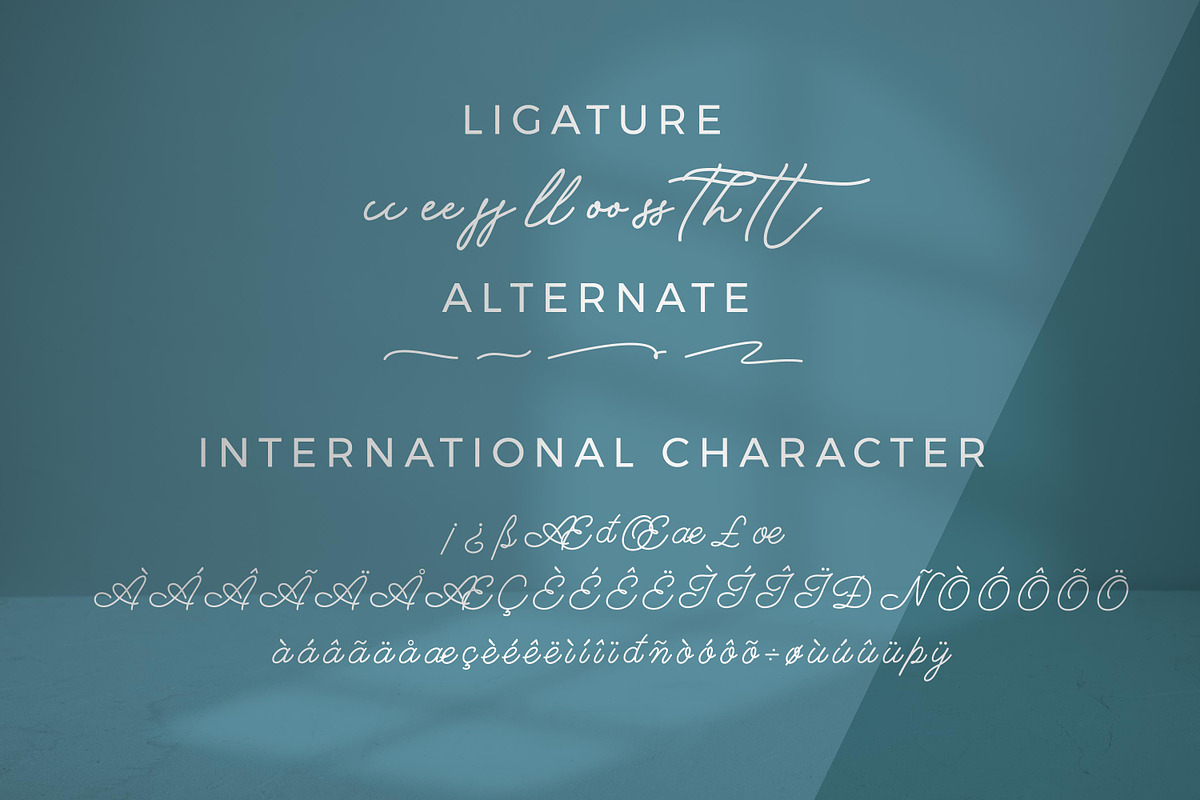 Serendipity Monoline Script font, a Script Font by mahstudios (Photo 6 of 8)