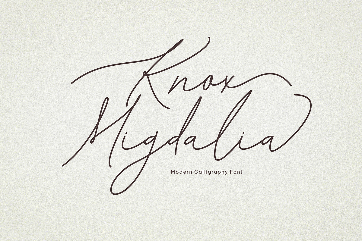Knox Migdalia - modern calligraphy, a Script Font by Fontcastle (Photo 2 of 14)