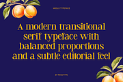 Meglo - Elegant Modern Serif Font, a Serif Font by Pekotype (Thumbnail 2 of 15)