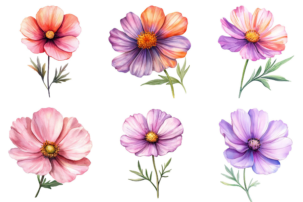 Watercolor Spring Cosmos Flower Clip, a Texture Illustration by DreamPrint404 (Photo 2 of 7)