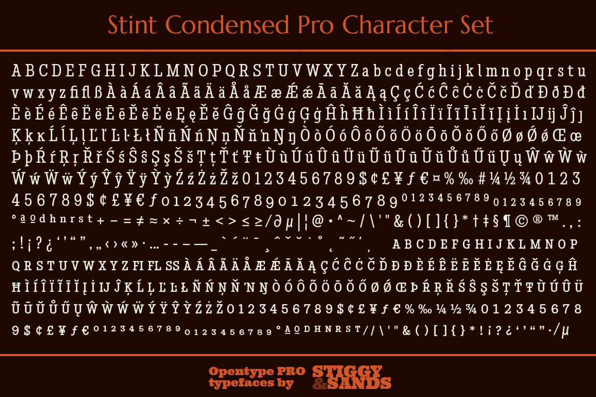 Stint Condensed Pro Family preview 5
