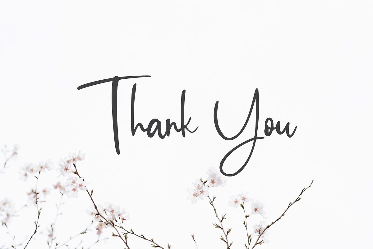 Romantic Collection, a Script Font by alphArtype (Photo 6 of 6)