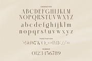 Paragon Elegant Classic Font, a Serif Font by Graphicxell (Thumbnail 7 of 8)