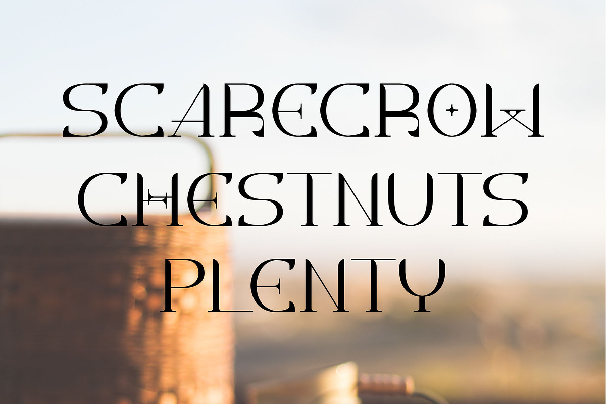 Okto Maple - Modern Serif, a Serif Font by Lemon Studio Type (Photo 4 of 8)