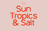 Summer Riviera Vintage Trio, a Sans Serif Font by Schrifted Type (Thumbnail 6 of 8)