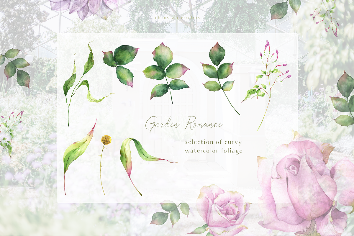 Garden Romance floral watercolor set, an Object Illustration by Tatiana Troian (Photo 3 of 6)