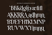 Not Reality - Retro Serif Font, a Serif Font by Flawless And Co (Thumbnail 9 of 10)