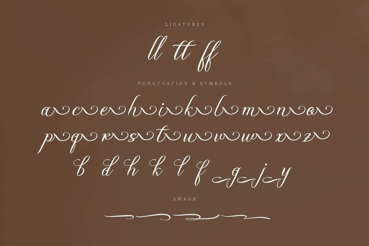 Olydemi | Beauty Script, a Script Font by Denustudios (Photo 12 of 13)