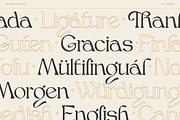Bjork Serif, a Serif Font by CCS-Type.com (Thumbnail 27 of 30)