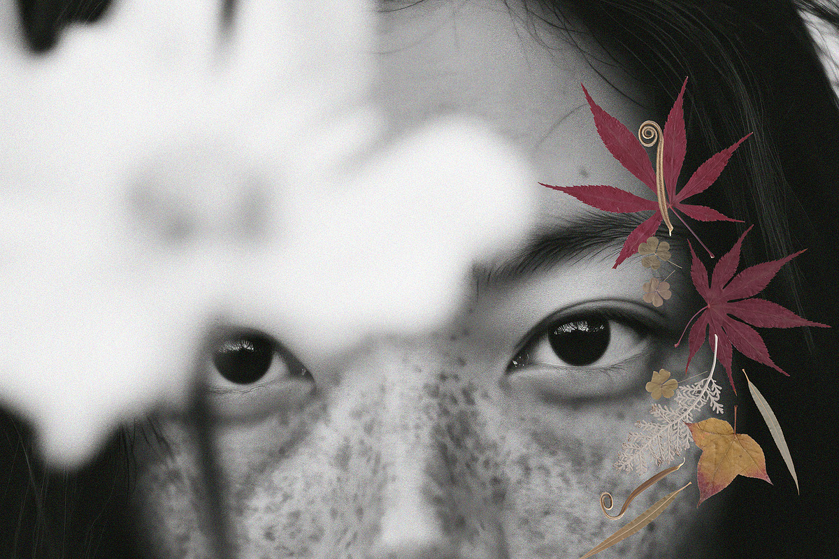 Oshibana Dried & Pressed Fall Leaves, an Object Graphic by Lana Elanor (Photo 6 of 17)