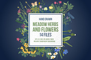 Hand drawn botanical bundle, an Illustration by handsketched (Thumbnail 4 of 24)