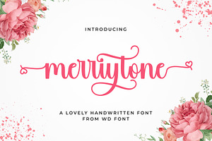 Merrytone | Modern Stylish Font