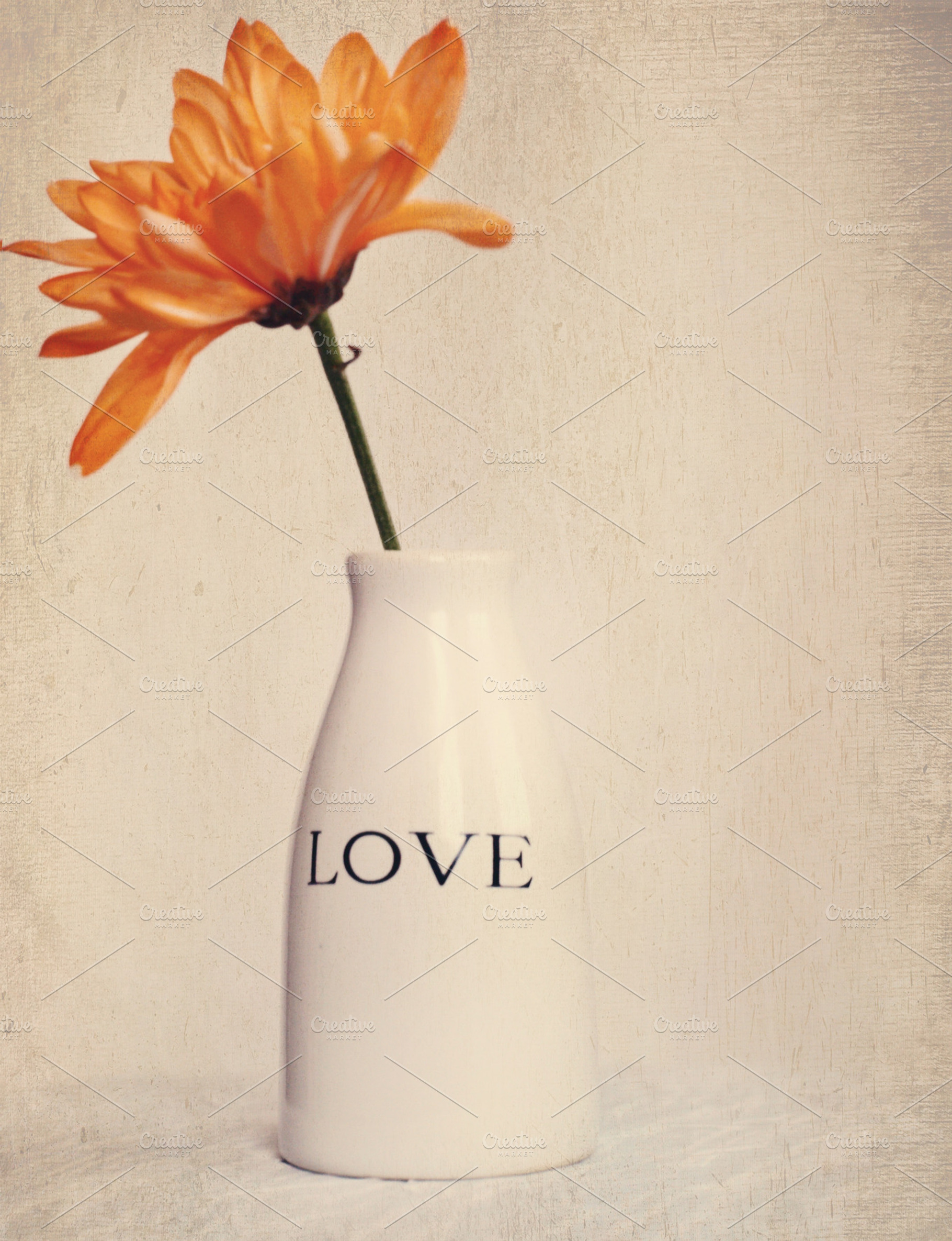 Orange Love, a Nature Photo by Bellano Web Studio