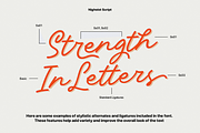Nigheist - Monoline Script, a Font by Haps Space (Thumbnail 13 of 13)