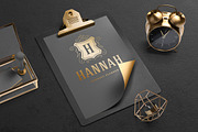 500 ornaments logos & monograms, a Branding & Logo Template by Vasya Kobelev (Thumbnail 5 of 31)