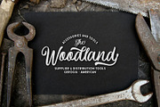 Courtland Handdrawn, a Script Font by Garisman Std (Thumbnail 4 of 11)