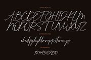Hamburg, a Script Font by Drizy (Thumbnail 5 of 8)