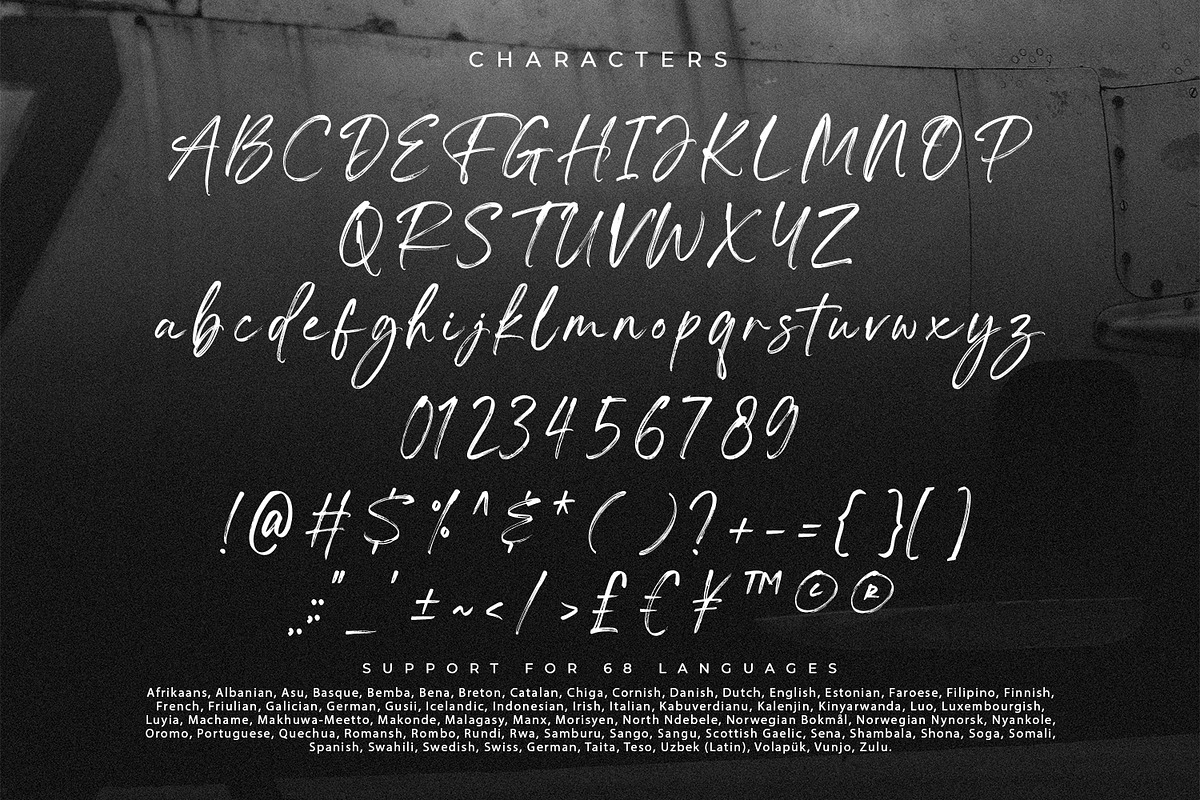 Fightever, a Script Font by Ditatype (Photo 10 of 10)