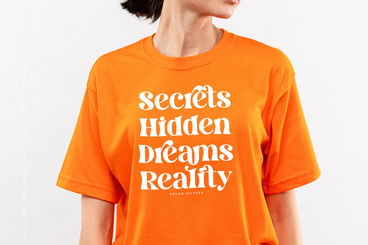 Dream Silvers Modern Serif Font, a Serif Font by timelesstype.co (Photo 5 of 20)