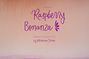 Raspberry Bonanza Quirky Handwriting, a Handwritten Font by Letterhanna Studio (Thumbnail 2 of 10)